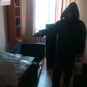 Выведение тараканов в квартире с гарантией в Сочи